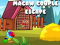 Žaidimas Macaw Couple Escape