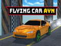 Žaidimas Flying Car Ayn
