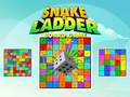 Žaidimas Snake and Ladder Board Game