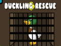 Žaidimas Duckling Rescue