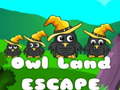 Žaidimas Owl Land Escape
