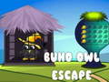 Žaidimas Buho Owl Escape