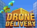 Žaidimas Drone Delivery