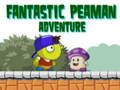 Žaidimas Fantastic Peaman Adventure 