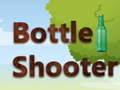 Žaidimas Bottle Shooting