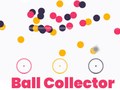 Žaidimas Circle Ball Collector