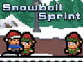 Žaidimas Snowball Sprint