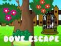 Žaidimas Dove Escape