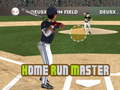 Žaidimas Home Run Master