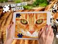 Žaidimas Unlimited Puzzles