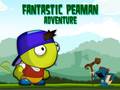 Žaidimas Fantastic Peaman Adventure