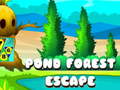 Žaidimas Pond Forest Escape