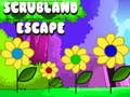 Žaidimas Scrubland Escape