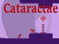 Žaidimas Cataractae