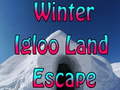 Žaidimas Winter Igloo Land Escape 