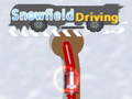 Žaidimas Snowfield Driving
