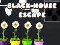 Žaidimas Black House Escape