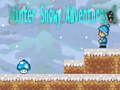 Žaidimas Winter Snowy Adventures 1