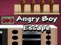 Žaidimas Angry Boy Escape