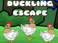 Žaidimas Duckling Escape