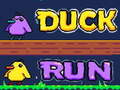 Žaidimas Duck Run