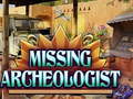 Žaidimas Missing Archeologist