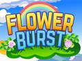 Žaidimas Flower Burst