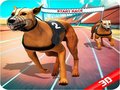 Žaidimas Crazy Dog Race