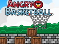 Žaidimas Angry Basketball