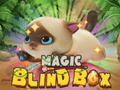 Žaidimas Magic Blind Box