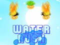 Žaidimas Water-Rush