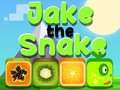 Žaidimas Jake The Snake