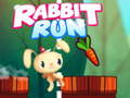 Žaidimas Rabbit Run