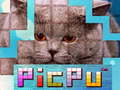 Žaidimas PicPu Cat 
