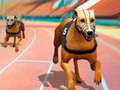 Žaidimas Dogs3D Races