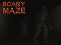 Žaidimas Scary Maze