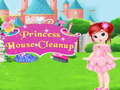 Žaidimas Princess House Cleanup