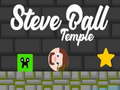 Žaidimas Steve Ball Temple