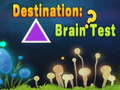 Žaidimas Destination: Brain Test