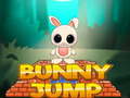 Žaidimas Bunny Jump