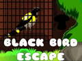 Žaidimas Black Bird Escape