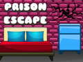 Žaidimas G2M Prison Escape