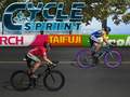 Žaidimas Cycle Sprint