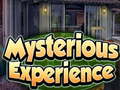 Žaidimas Mysterious Experience
