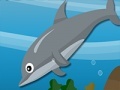 Žaidimas Dolphin Dive