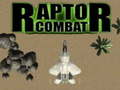 Žaidimas Raptor Combat