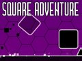 Žaidimas Square Adventure