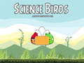 Žaidimas Science Birds