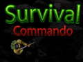 Žaidimas Survival Commando