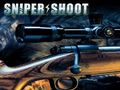 Žaidimas Sniper Shooting